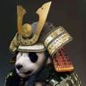 PandaWarrior123