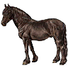 Horse Merchant Wiegraf
