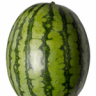 mr melon