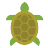 TurtleFactz
